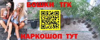прущие крисы Гатчина
