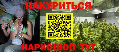 эйфоретик Гай