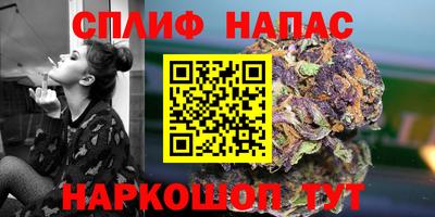 прущие крисы Гатчина