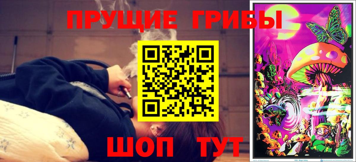Галлюциногенные грибы GOLDEN TEACHER Можга